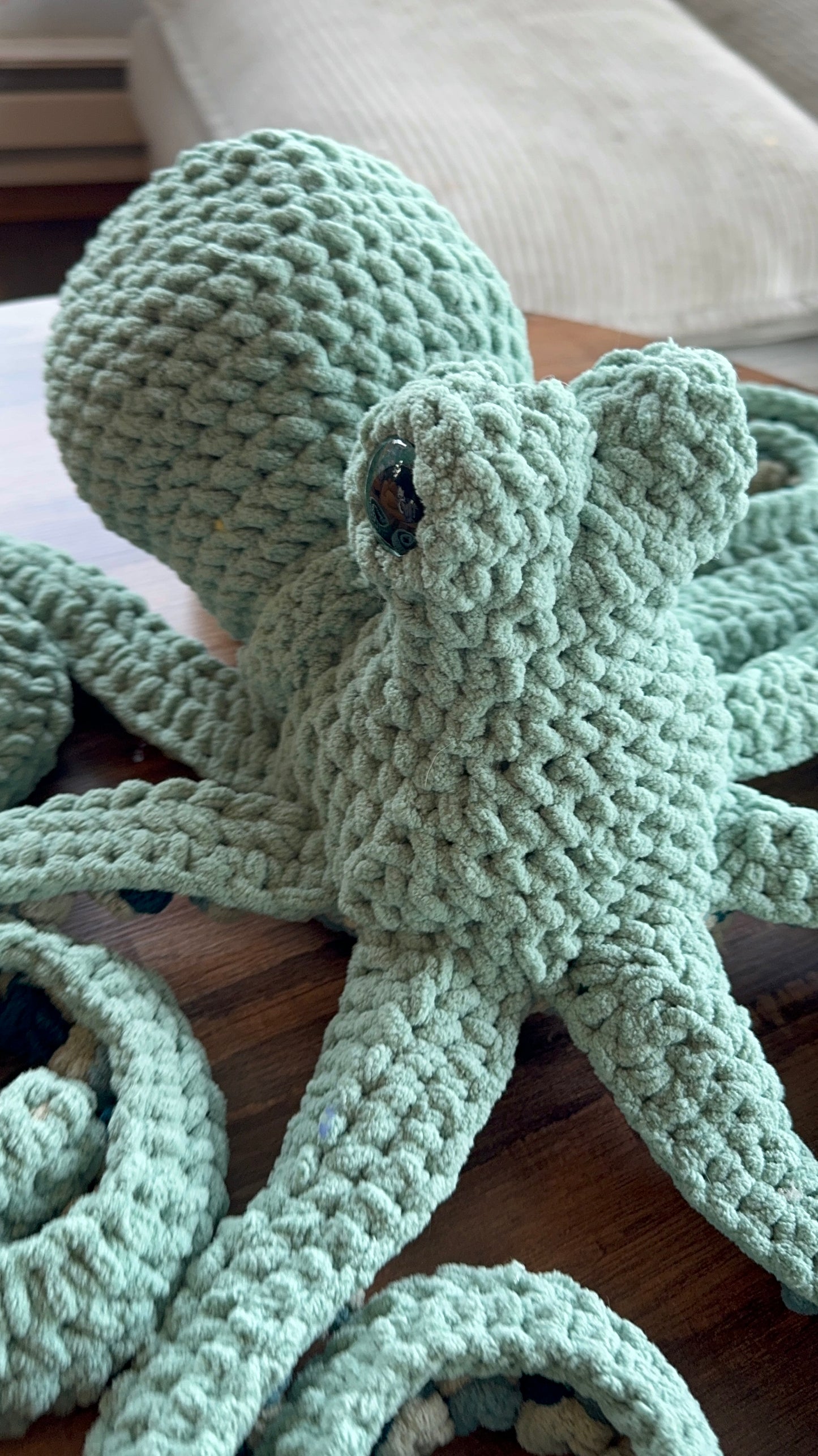 Giant Octopus Seasonal