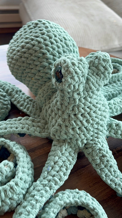 Giant Octopus Seasonal